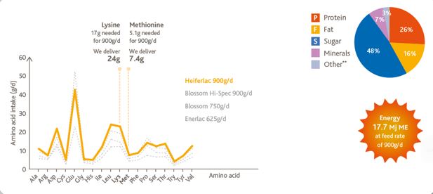Infographic on Hefferlac milk replacer